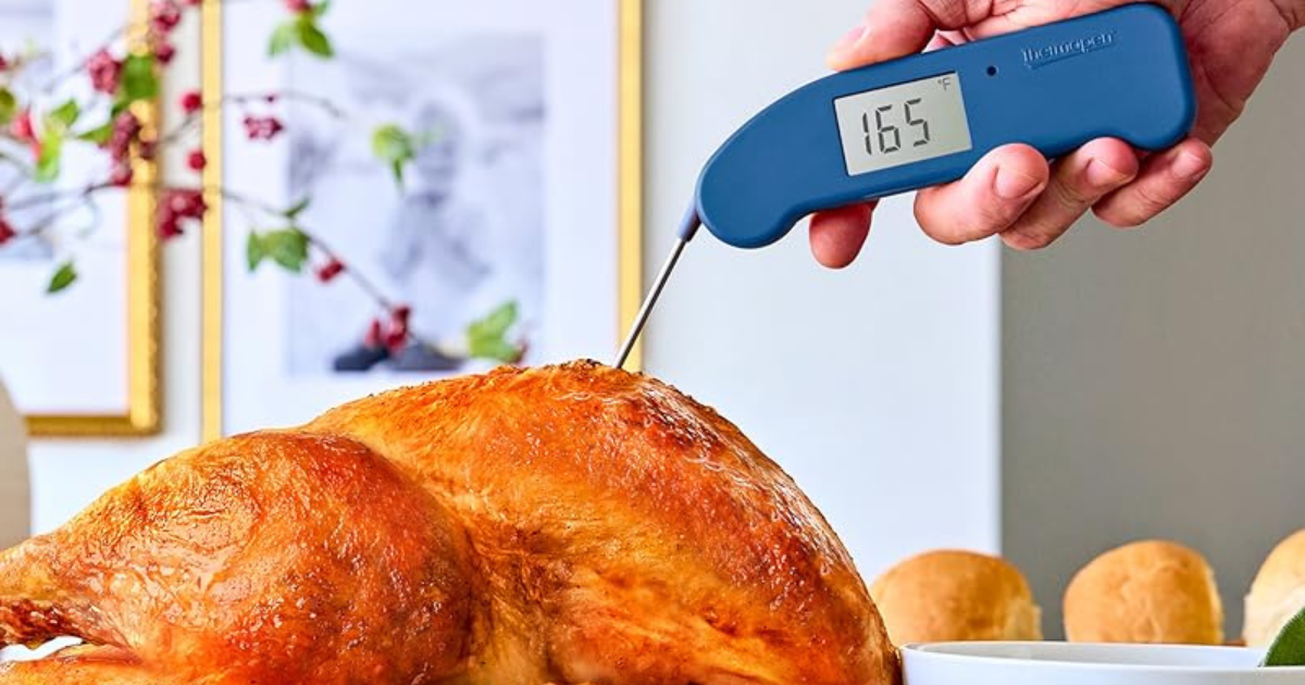 Thermapen ONE real kitchen performance