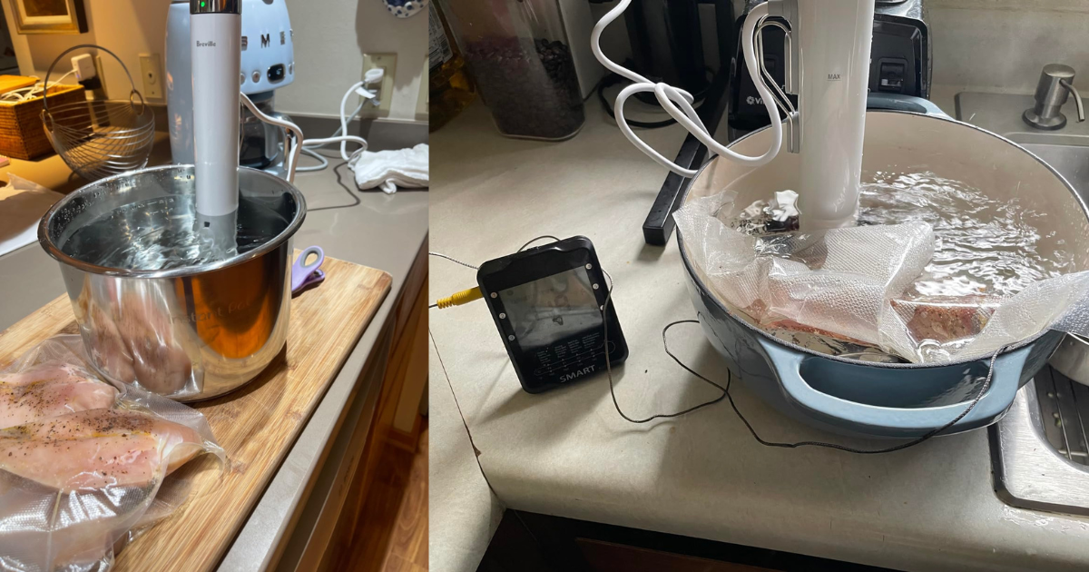 A user bought the Breville Joule Turbo Sous Vide
